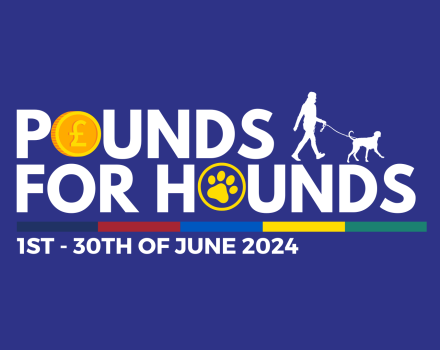 Pounds for Hounds logo 