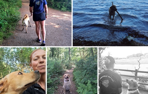 Lady walking dog photo collage