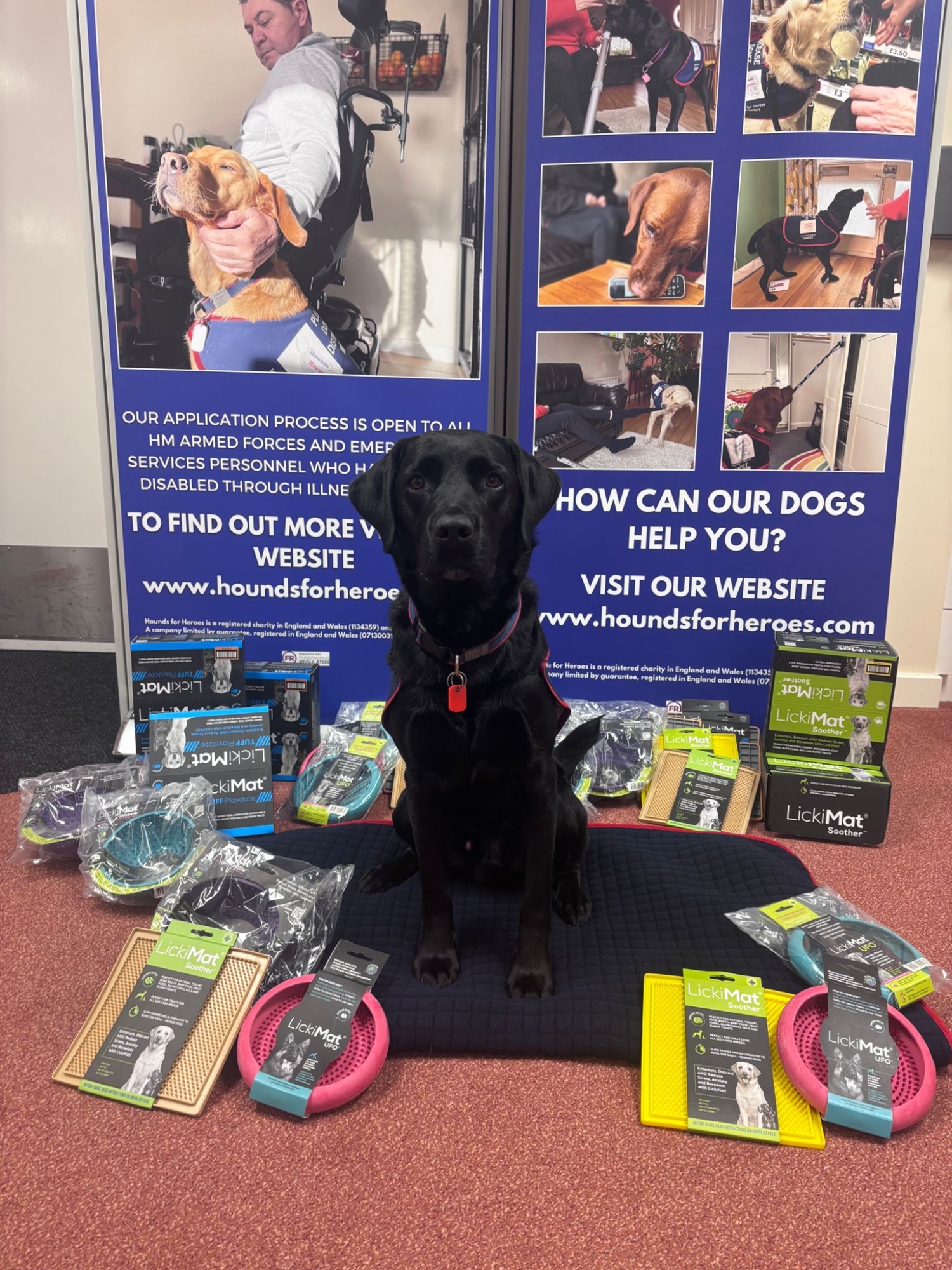 Hounds for Heroes Assistance dogs training with donation for Lickimat UK