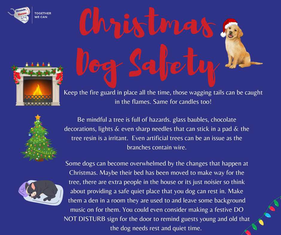 Poster with advice for dog owners over Christmas