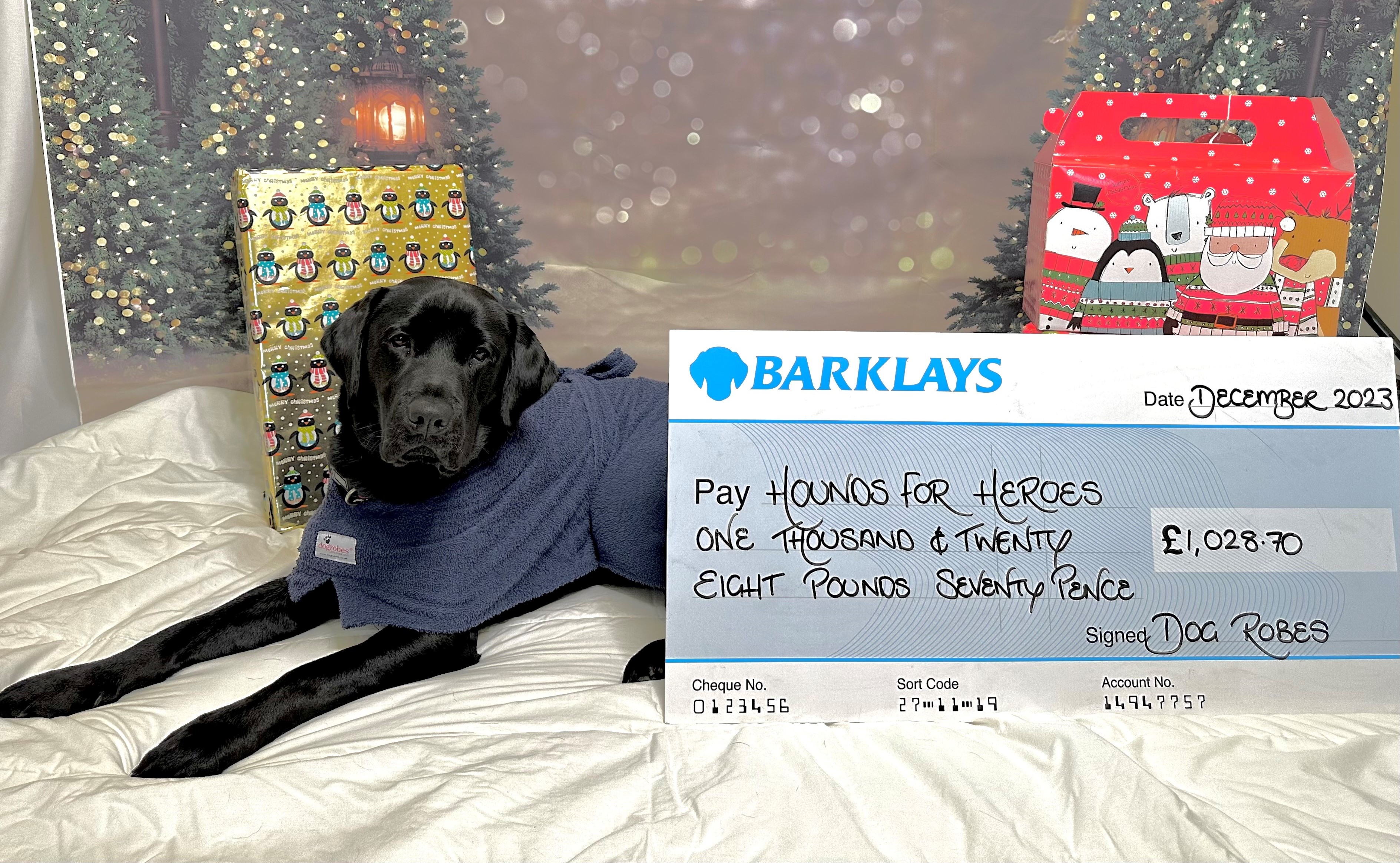 Black Labrador laying down in a Christmas scene wearing a drying robe &amp; next to a cheque for £1028.70