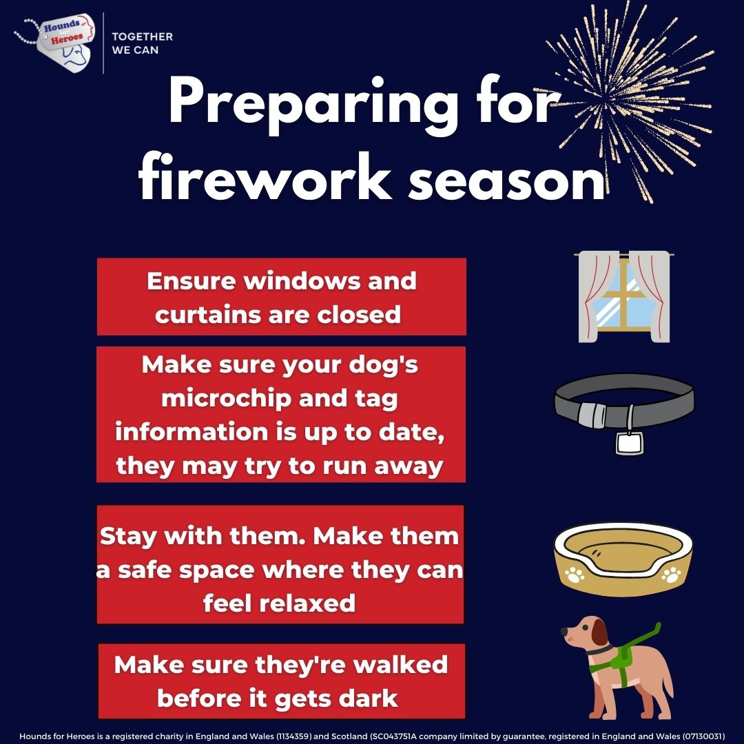 Poster giving advice on keeping your dog happy during fireworks
