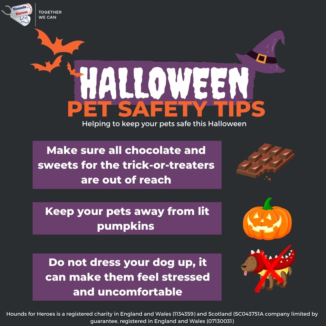 Halloween Pet Safety Tips