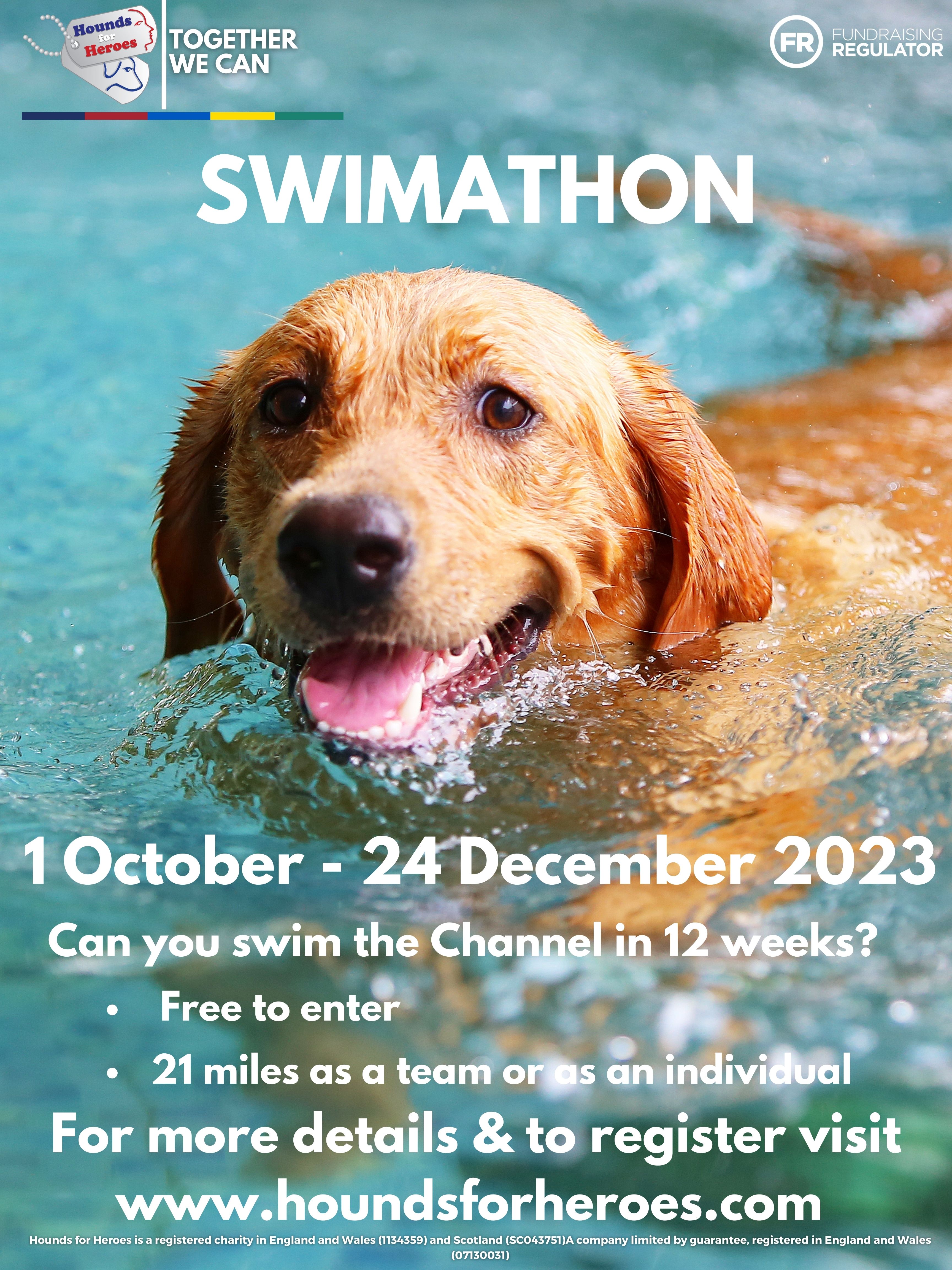Poster for swimathon