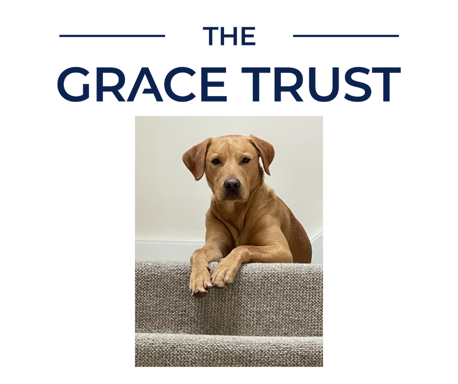 the Grace Trust logo &amp; a picture of a fox red Labrador sat with paw over the top of a stair.