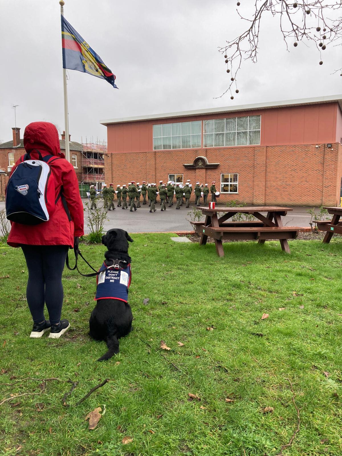 Hounds for Heroes Assistance dog with trainer watching The Royal Marines Band