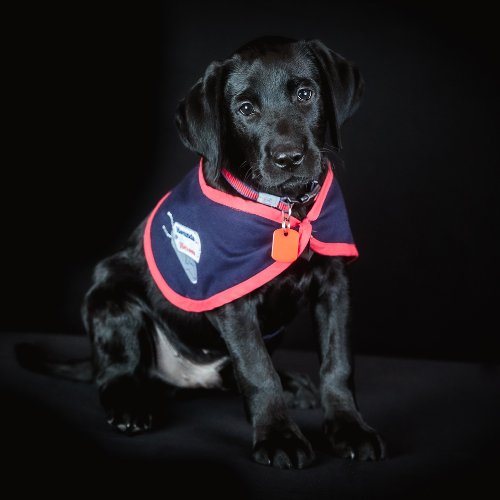 Fletcher 12 weeks
