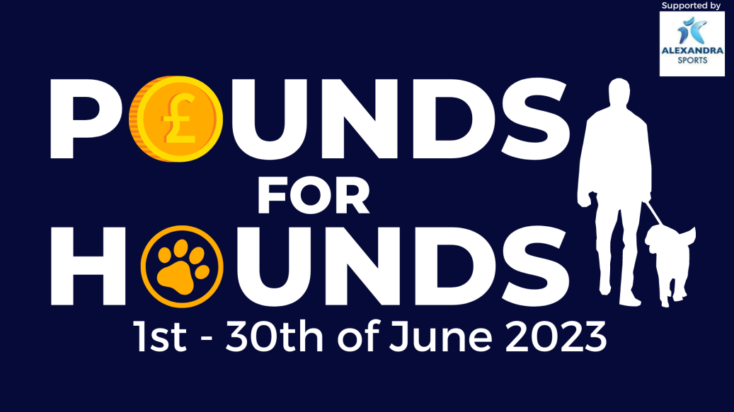Pounds for Hounds 