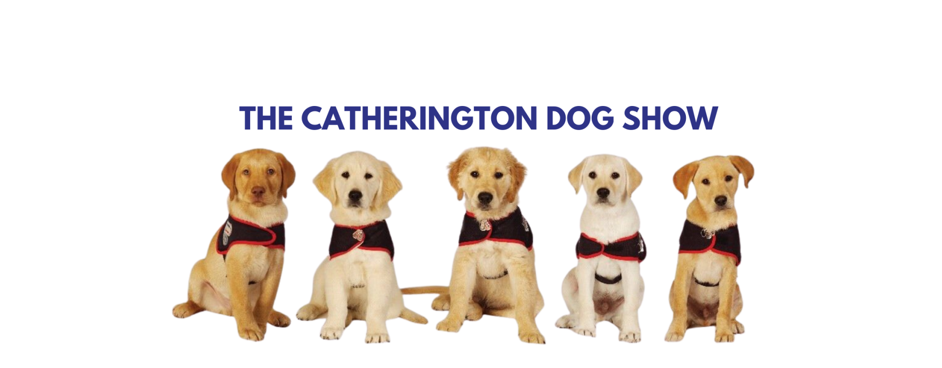 The Catherington Dog Show