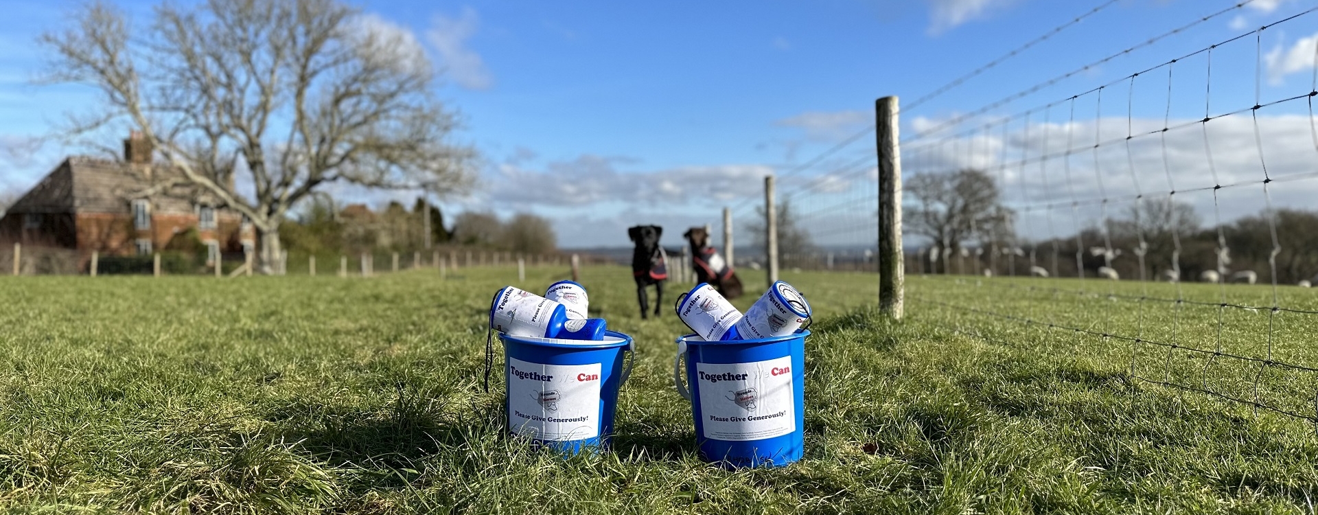 Donation Charity tins 