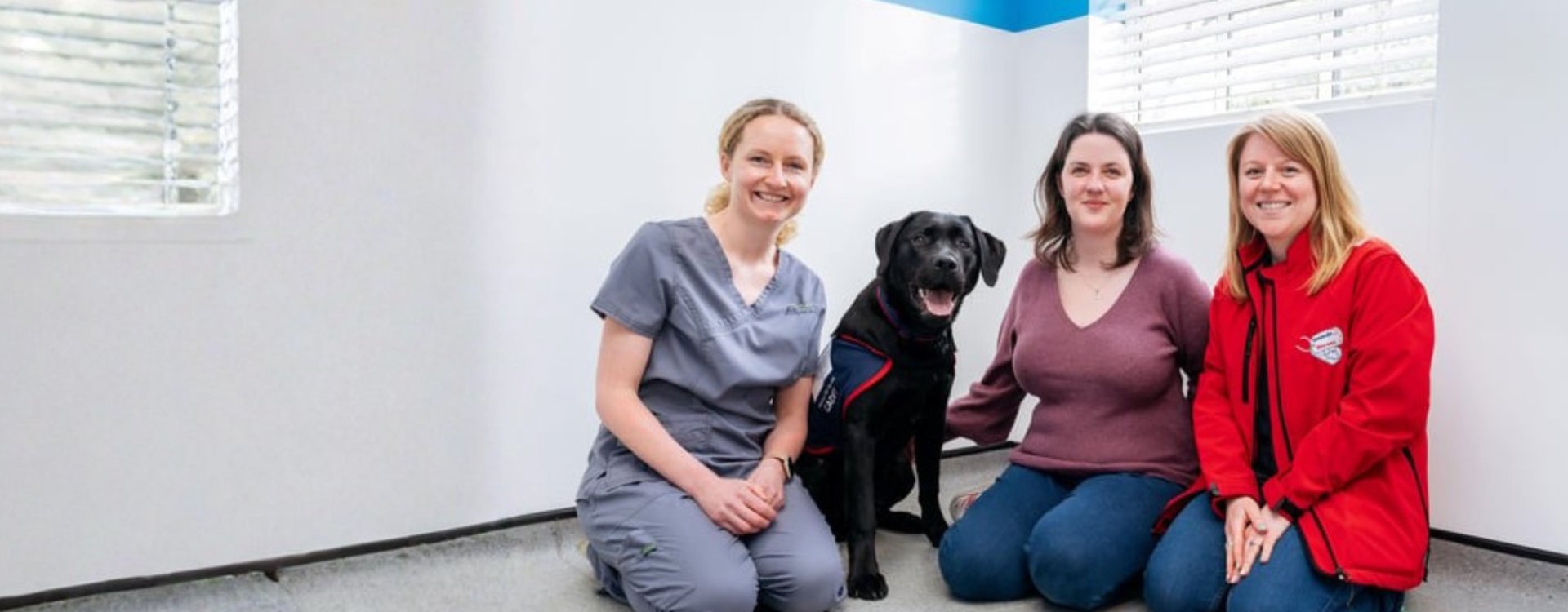 hounds for Heroes dog with Vet and trainer