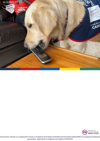 Golden Retriever picking up a telephone fundraising poster