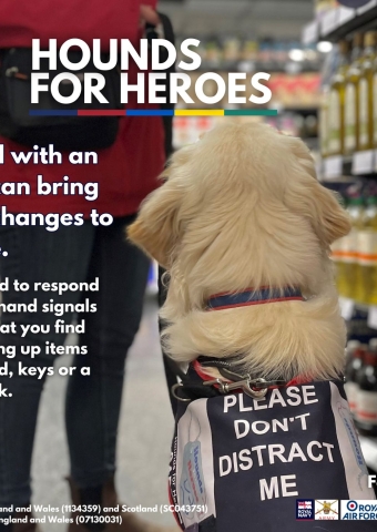 How Our Dogs Can Help Poster