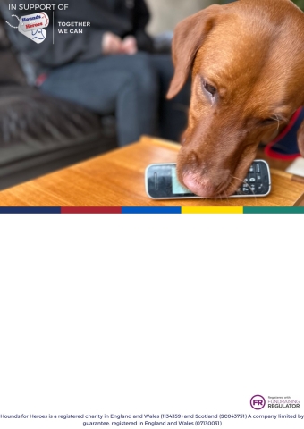 Blank Fundraising Poster with Fox Red Labrador picking up a phone
