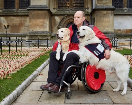 Allen Parton with EJ and Rookie in London by the remembrance poppy crosses