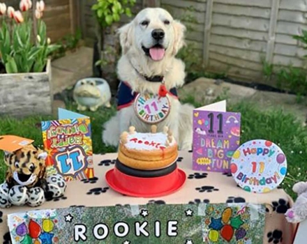Happy Eleventh Birthday Rookie 