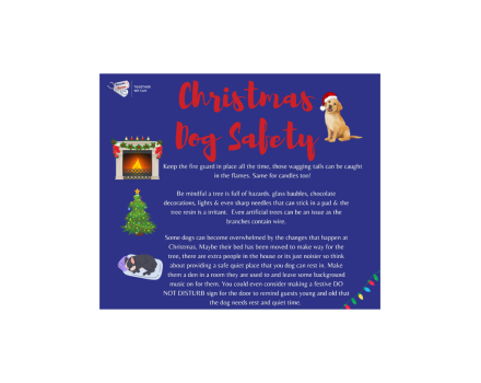 Poster with advice for dog owners over Christmas