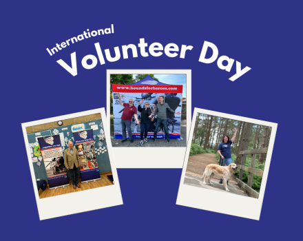 Volunteer collage 