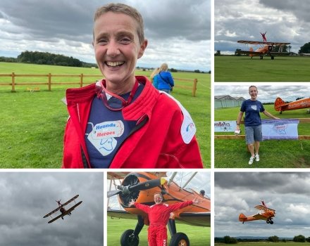 Collage of a lady taking part in a wing walk