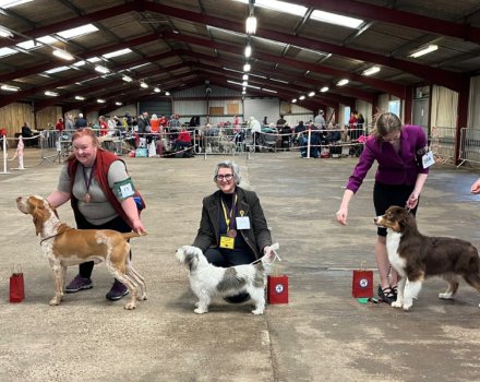 Newark & District Canine Society supporting Hounds for Heroes with dog show