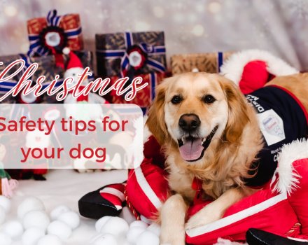 Safety tips - oberview 
