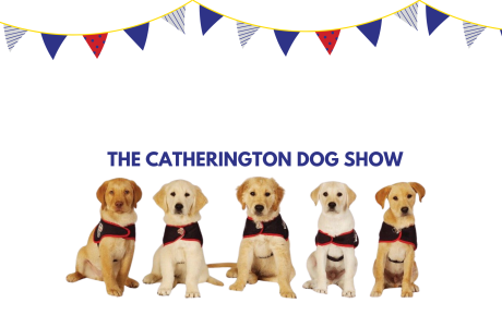 The Catherington Dog Show