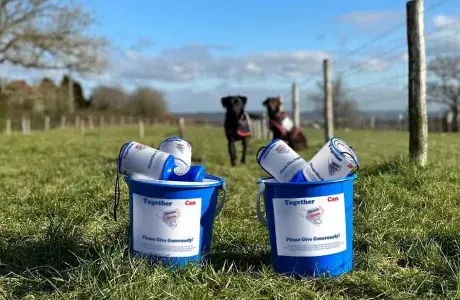 collection buckets