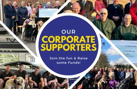Corporate sponsors
