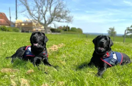 Biggles & Hercules