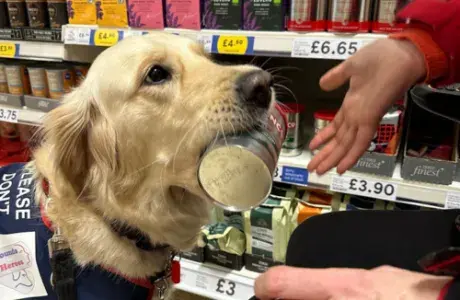 Alice in training supporting with shopping
