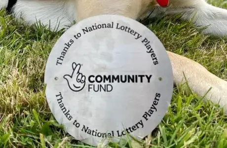 Hounds for Heroes Trusts and Foundation 