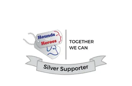 silver Supporter logo