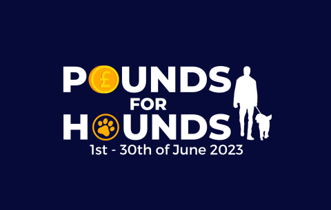 Pounds for Hounds fundraising event 