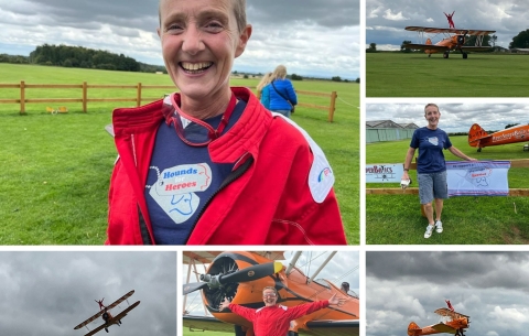 Collage of a lady taking part in a wing walk