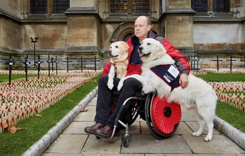 Allen Parton with EJ and Rookie in London by the remembrance poppy crosses