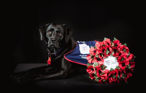 Warrior with wreath
