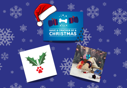 Christmas Cards